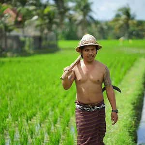 https://villa-mandi-bamboo-house-ubud-bali.ubudhotelsnow.com